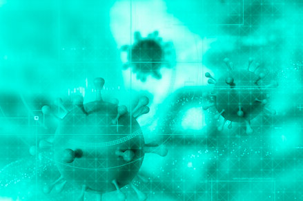 Pesquisadores de diversas instituições fizeram o sequenciamento genético do vírus da dengue de pacientes residentes da cidade de Feira de Santana, na Bahia, e identificaram um novo agrupamento do vírus dengue tipo 1, do genótipo V, na região. No estudo foram obtidos 19 genomas de dois tipos do vírus da dengue: tipo 1 (17) e tipo 2 (2).
