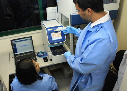 Fiocruz vira referência em protocolo de detecção do vírus Oropouche